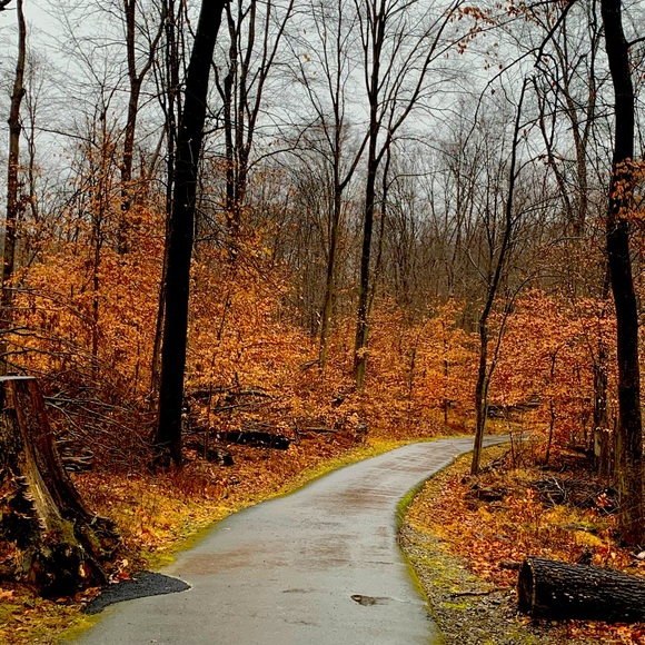 Hello, I’m Adelaide from New Jersey. - Picture 1 of 1